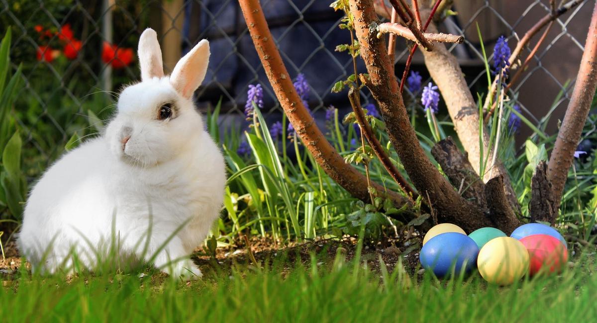 Couple Who Refused to Tell Foster Kids Easter Bunny Is Real Had Charter Rights Violated
