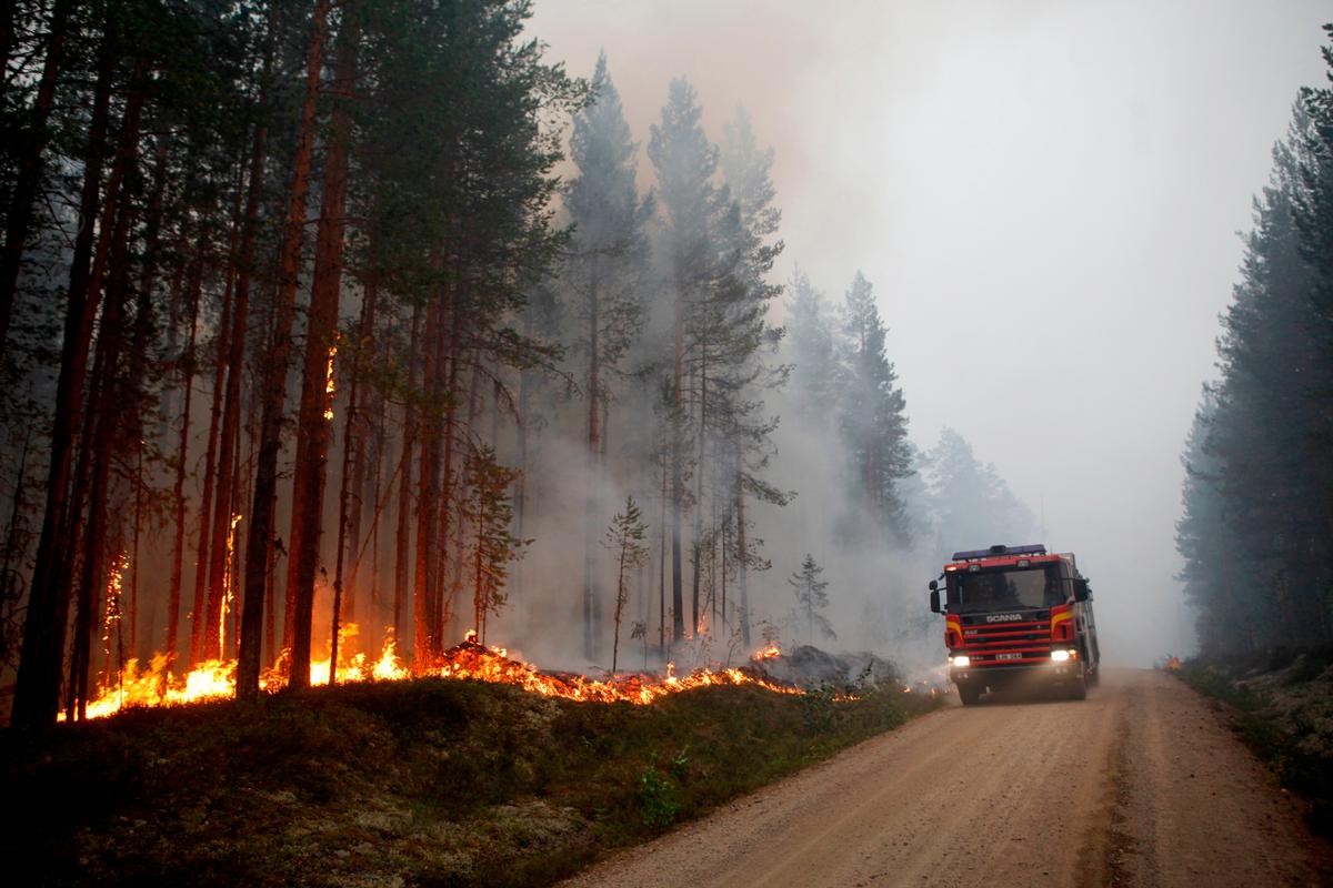 Severe Forest Fires Raging Across Drought-Stricken Sweden