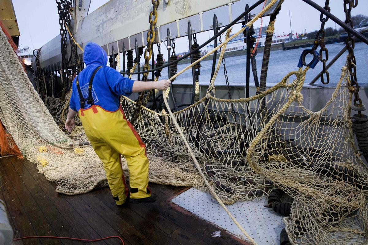 Electrical Fishing Causing Damage to Major Marine Sanctuary, Groups Claim