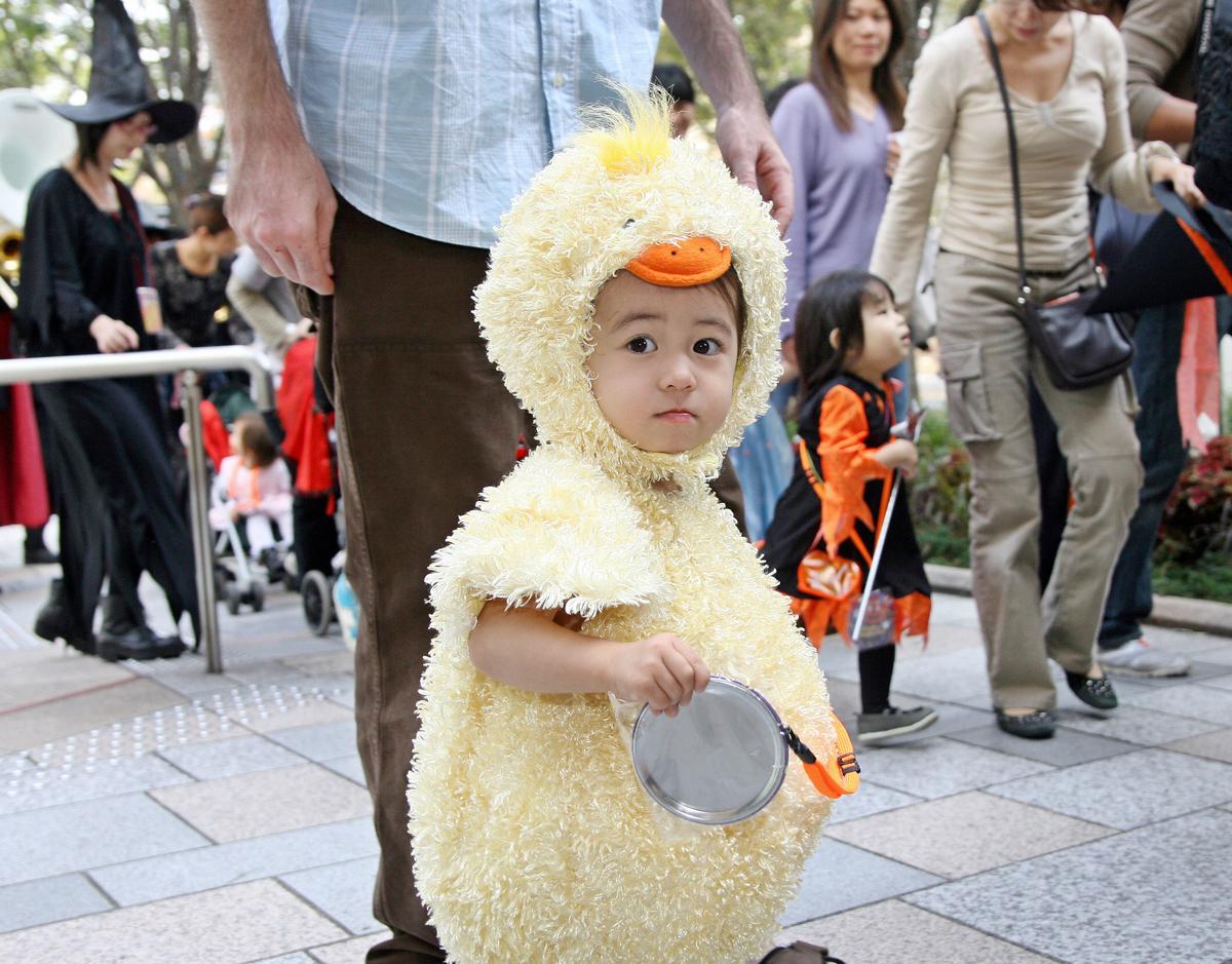 Fowl Play as Competition Gets Underway to Find the Best Rooster Impersonator