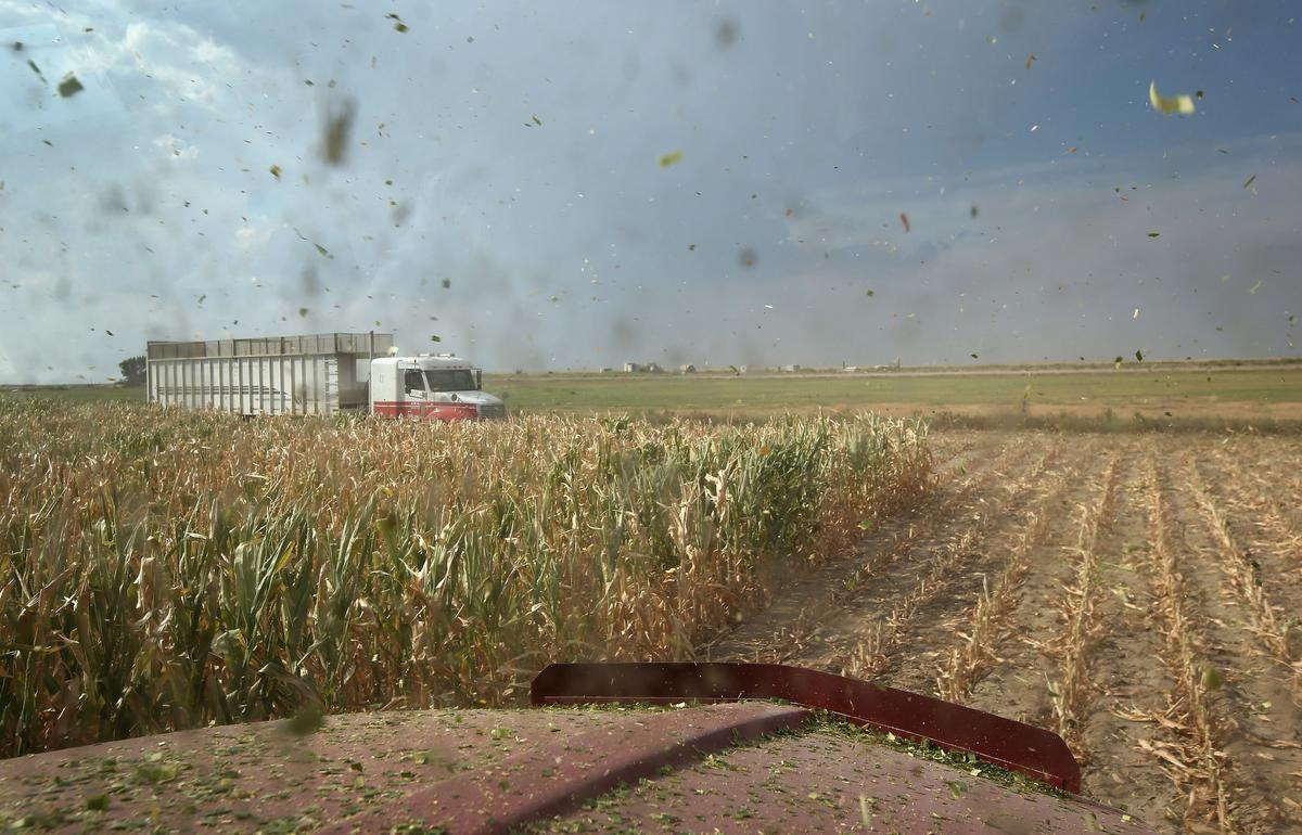 Agribusiness Giant ADM Made Buyout Approach to Argentina’s Molinos – Sources