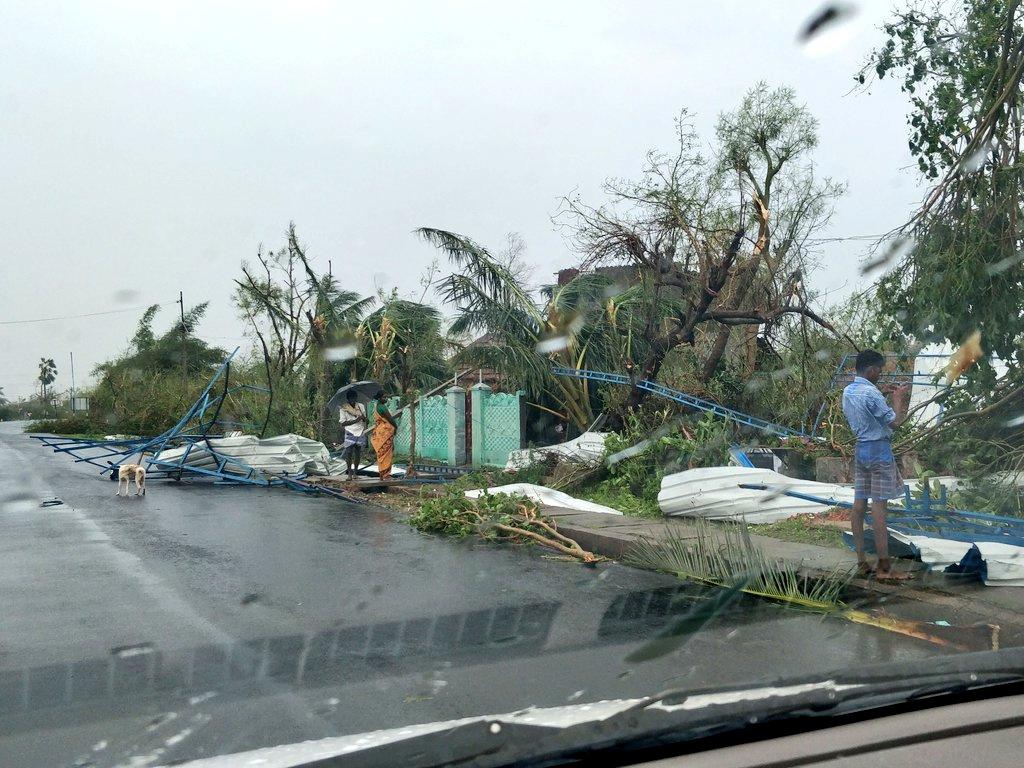 Cyclone ‘Gaja’ Makes Landfall in South India, Kills 33 People