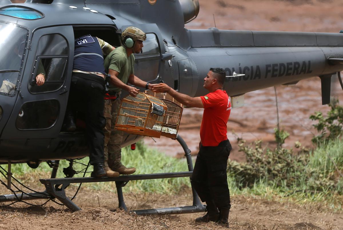 Death Toll Rises to 60 as Hope Dims After Brazil Dam Collapse