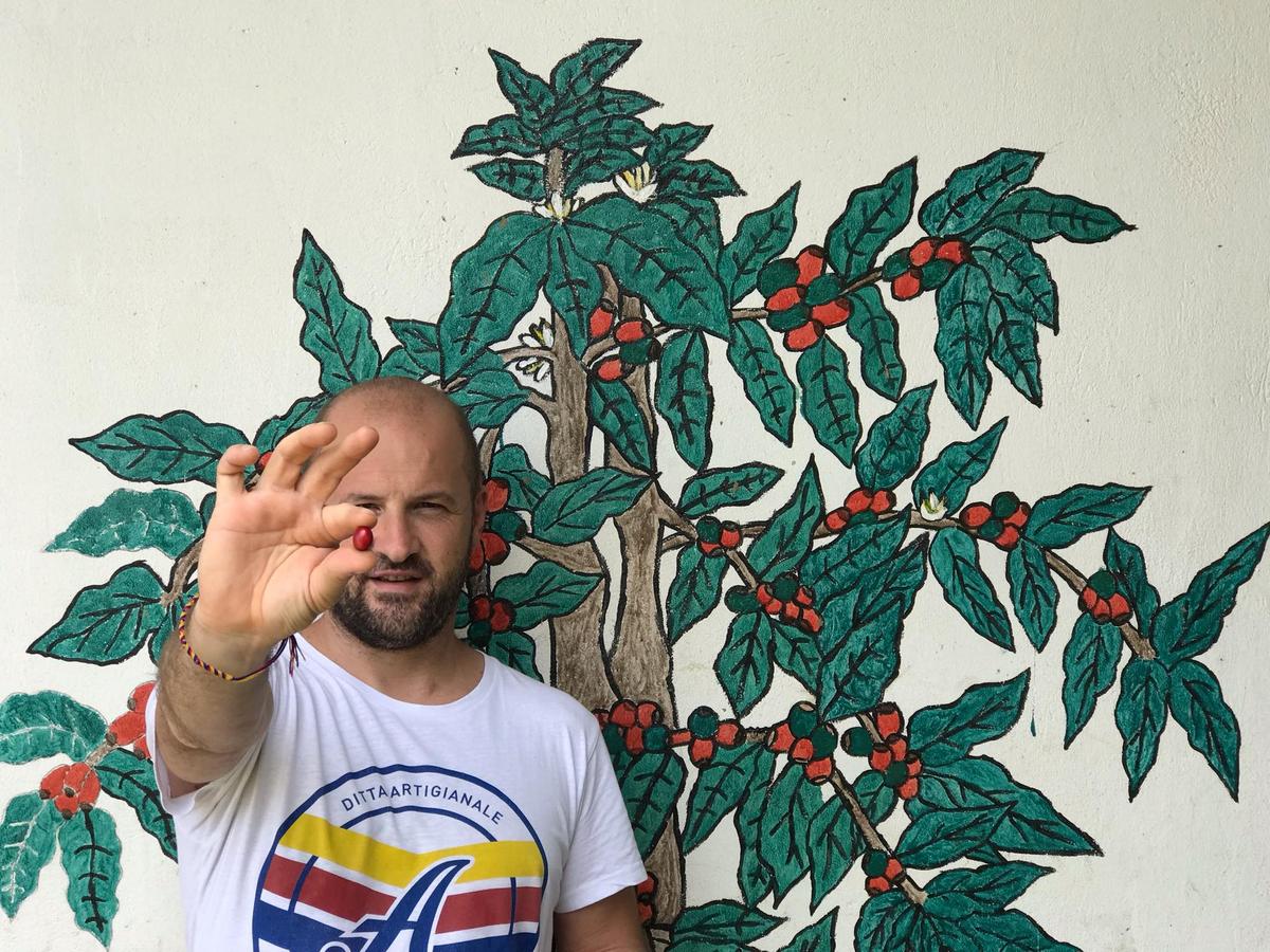 A Guide to Making and Tasting Coffee, According to an Expert Barista