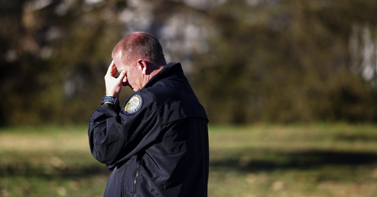 Suspect in Hit-and-Run Death of Tennessee Officer in Custody