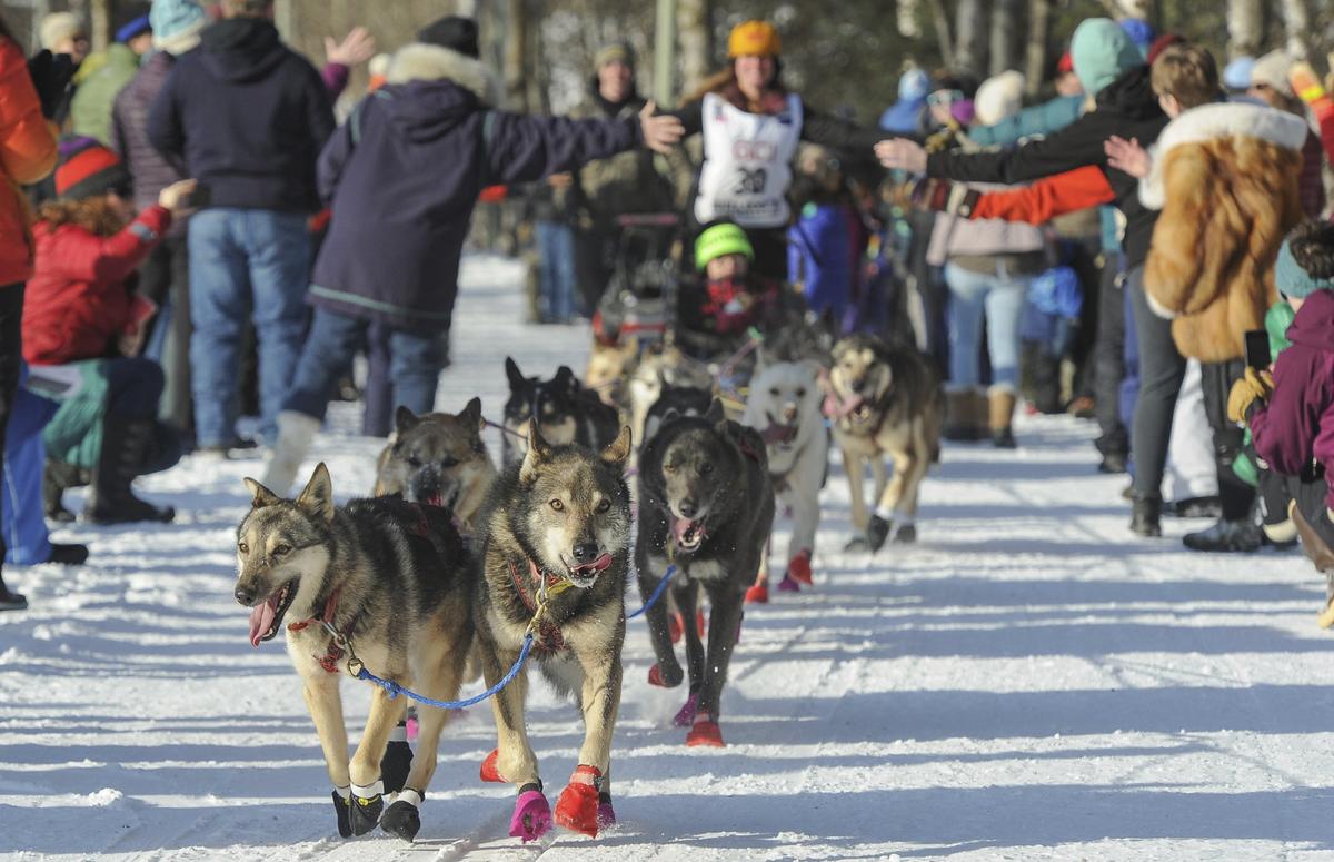 Big Crowds Cheer Kick Off of Alaska’s Famed Iditarod Race