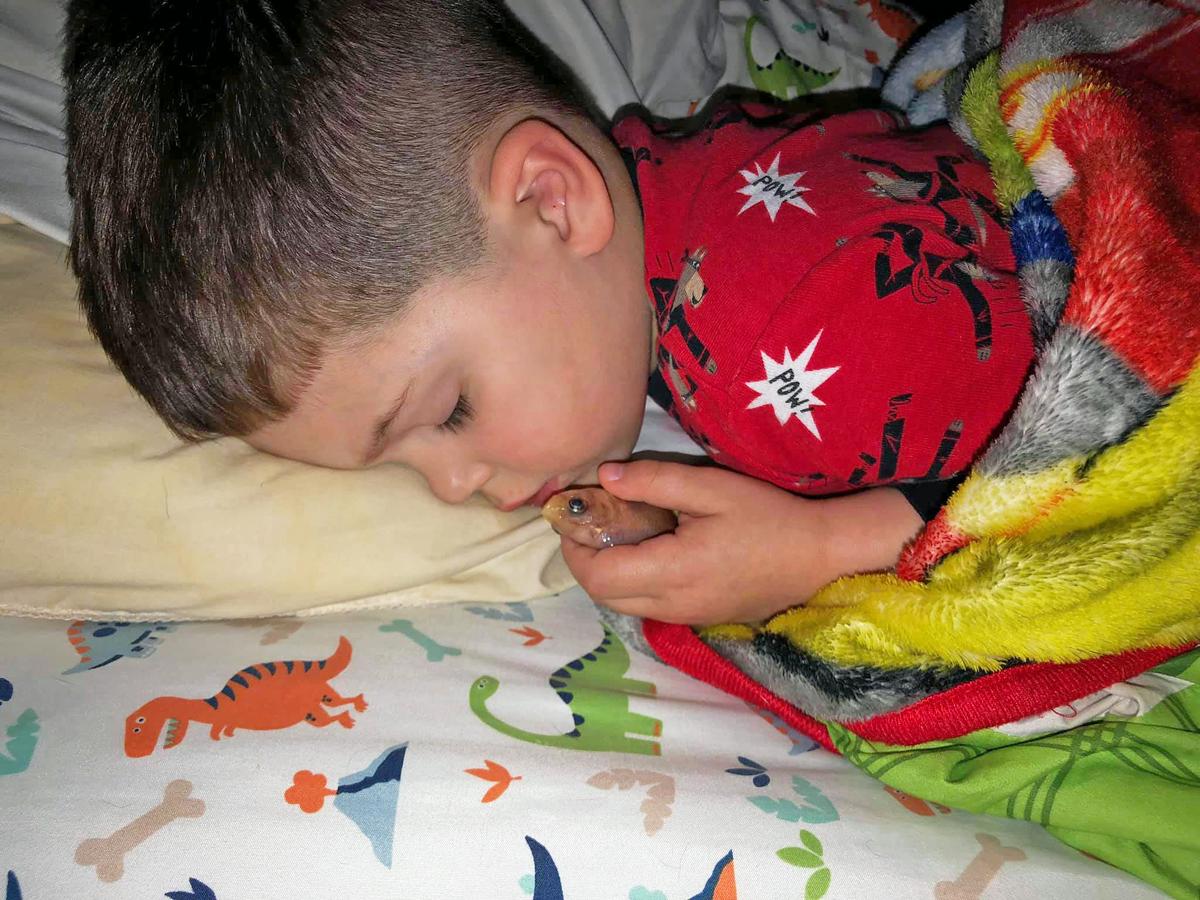 4-Year-Old Accidentally Cuddles Pet Fish to Death