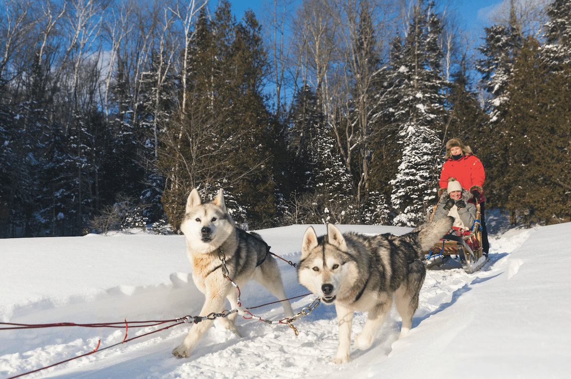 These US National Park Experiences Are Magical for Winter Visitors