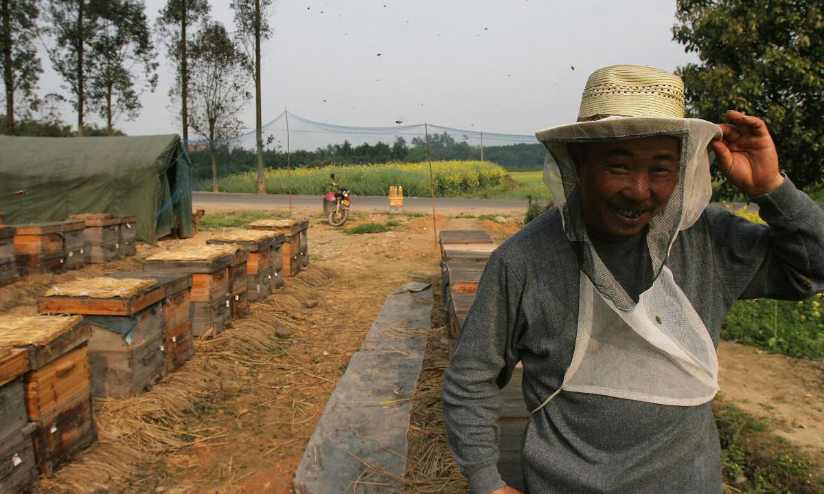 Couple Raises Bees in High-Rise Condo, Infuriates Neighbors