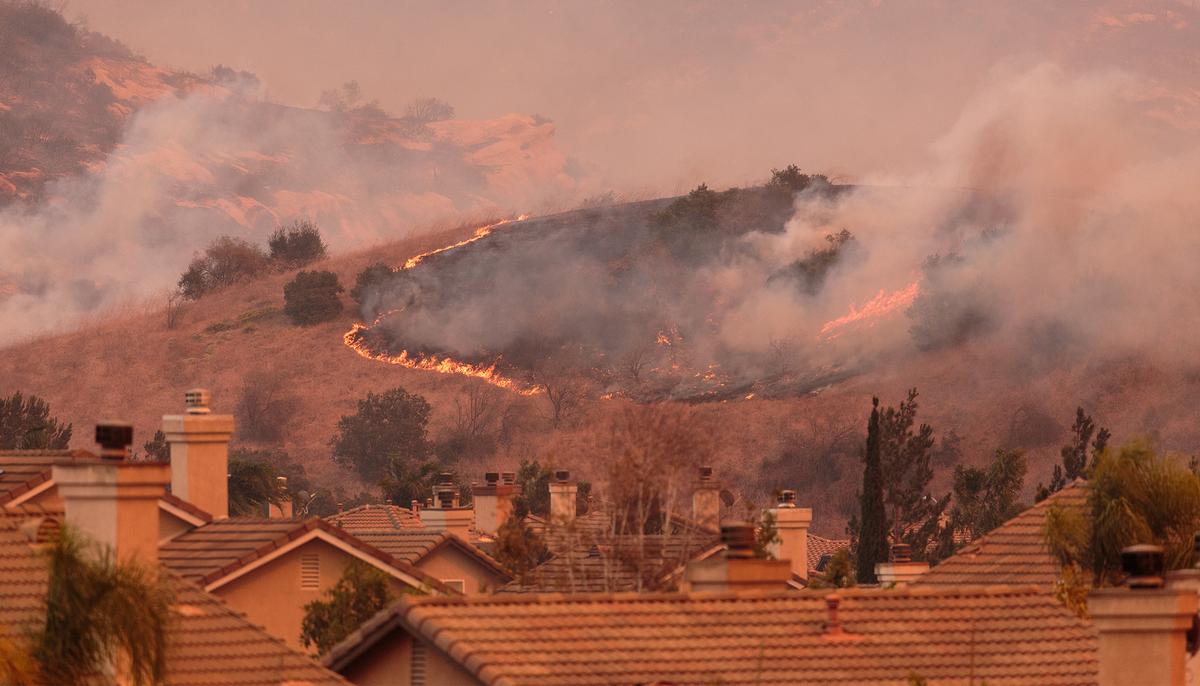Reporter Covering Wildfires Dumbfounded Seeing These Teeth — Plans a Genius Way to Help