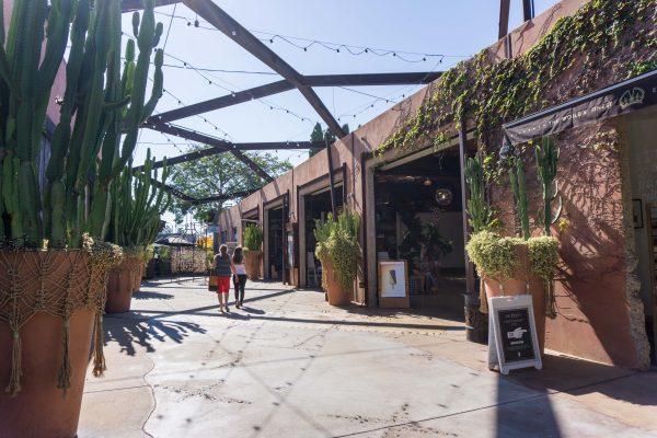 The LAB's outdoor space is strung with string lights and overrun with greenery. (Crystal Shi/The Epoch Times)