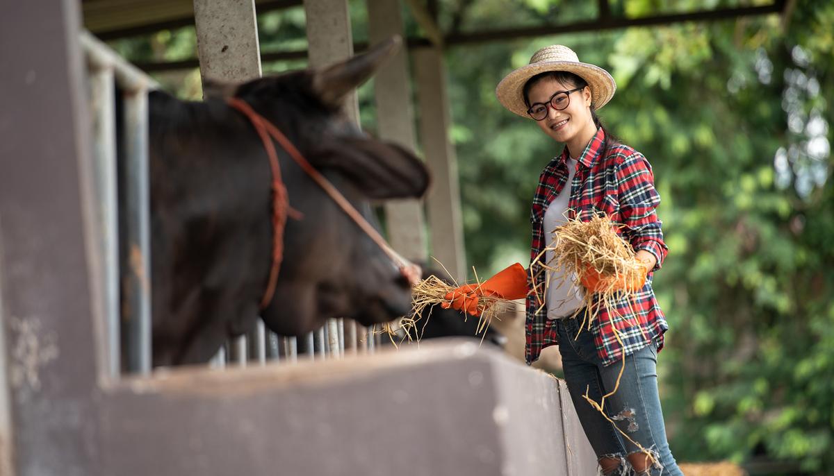 Cattle, Chicken, and Classrooms: the Ohio School Where Students Learn How to Farm
