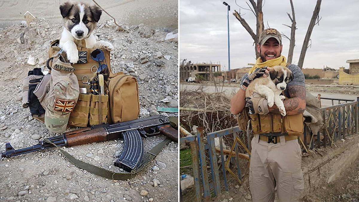 Ex-soldier Reunites With Puppy That He Saved From Rubble Pile in Syria