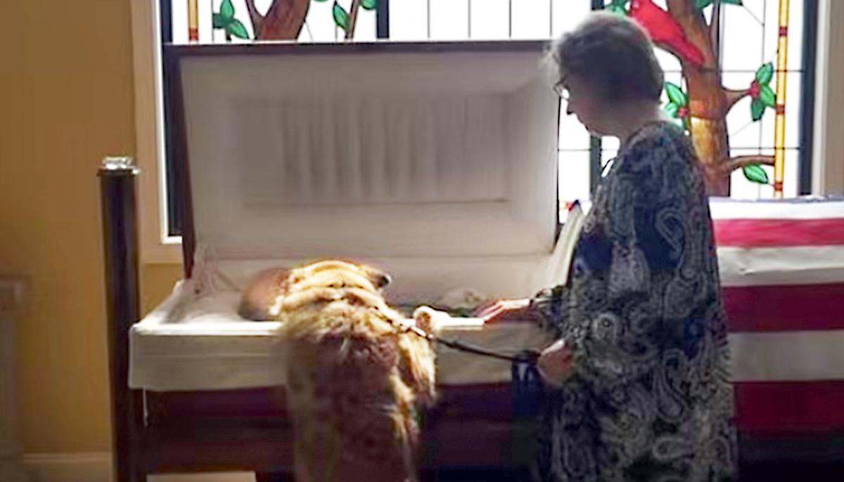 Dog Leans Over Beloved Owner’s Casket, How He Bids Farewell Has Everyone in Tears