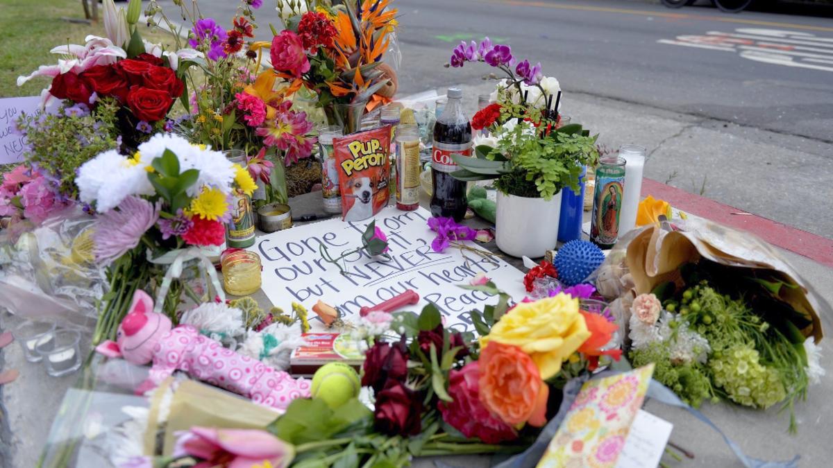 Mourners Remember Dog Walker, and 5 Dogs Killed in Crash