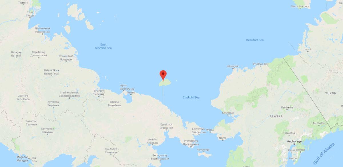 Tourists Capture Photos of Dozens Polar Bears on Remote Island