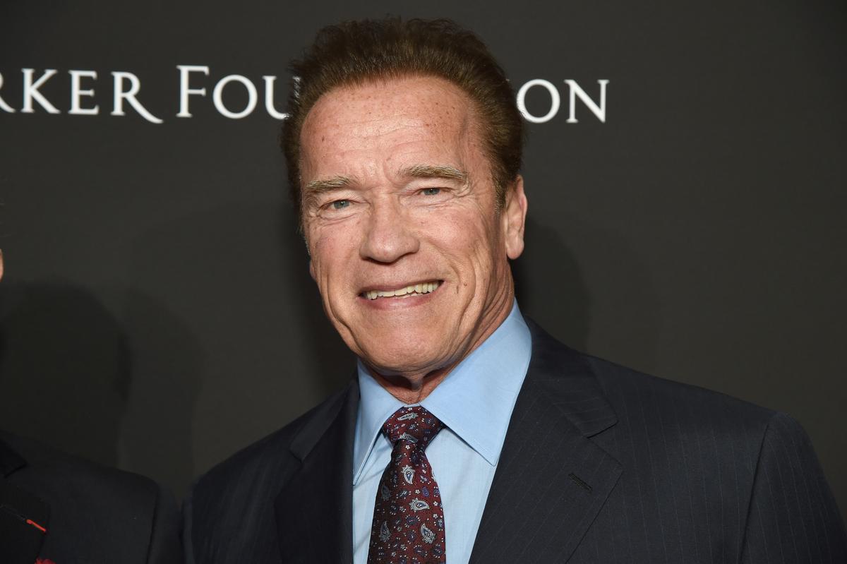 Arnold Schwarzenegger Got Kicked in the Back While in South Africa
