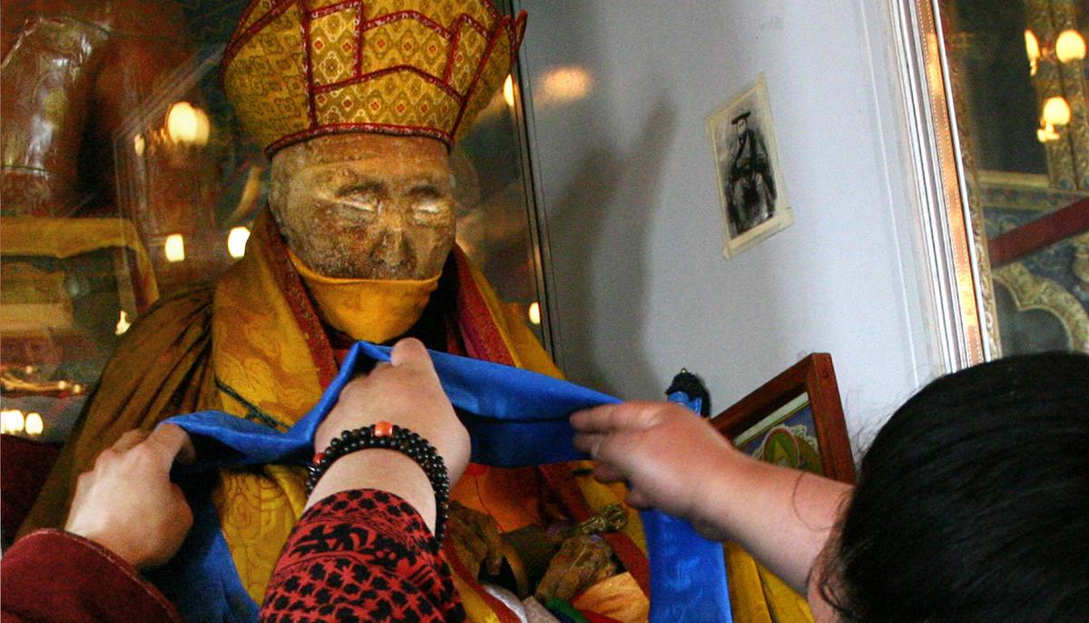 Does This Footage Prove That 164-Year-Old Mummified Lama Was Wandering Around the Museum?