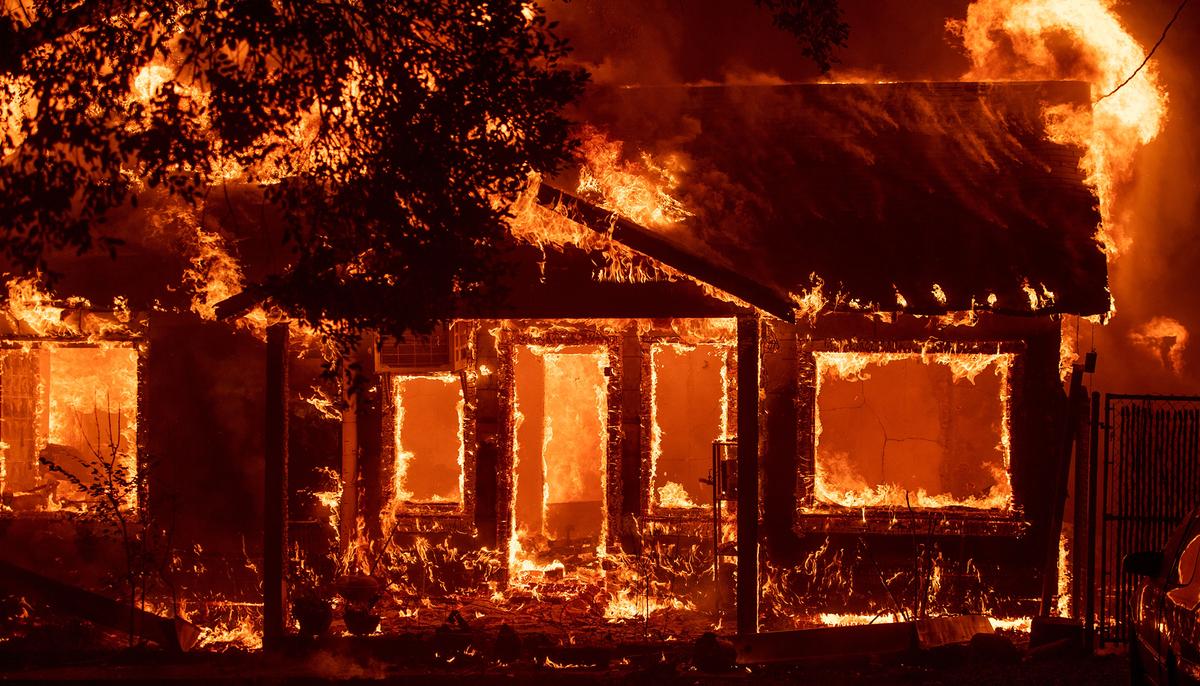 Cat Amazingly Survives Camp Fire After Family Evacuates, Gets Incredible Reunion