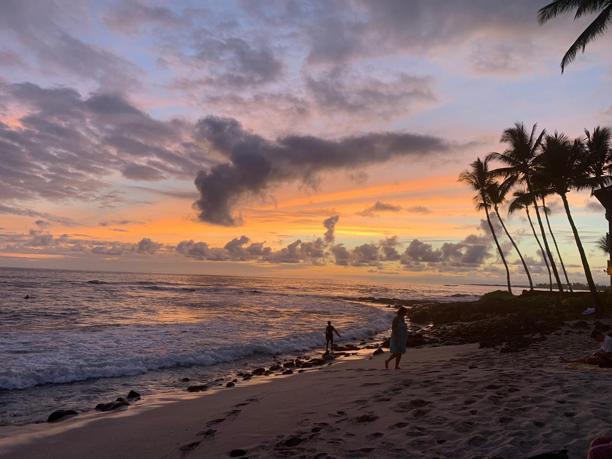Exploring the Island of Hawaii