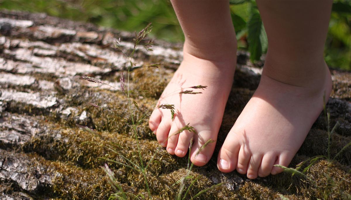 Tot Wanders Into Woods for 2 Days, Then Family Realizes Pit Bull Was Protecting Her