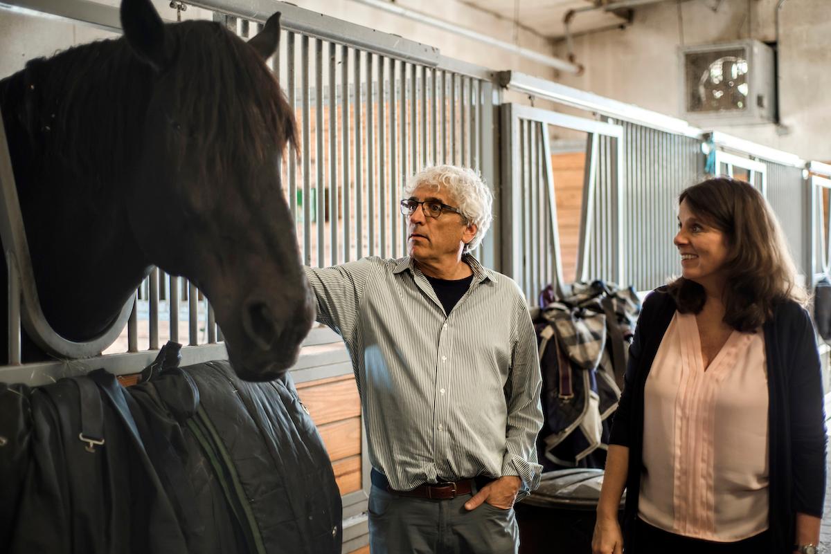 Horses Helping Veterans With PTSD