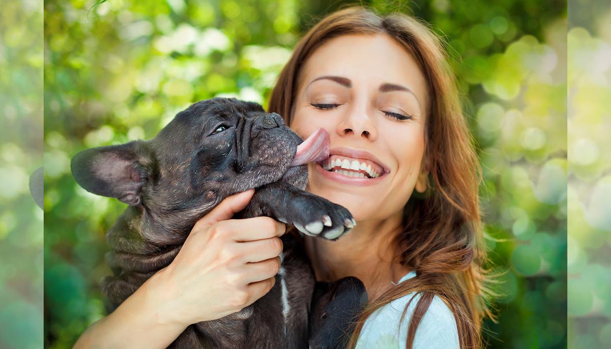 Here’s the Cold Truth Why You Should Never Let Your Dog Lick Your Face