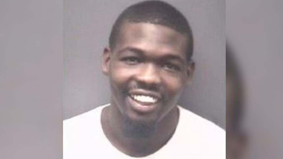 Man Charged With Animal Cruelty After Turtle Killed in Video