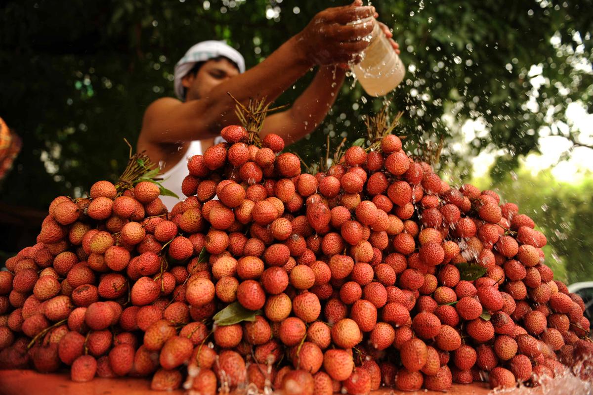 Over 50 Children in India Die of Brain Disease Linked to Lychee Toxins: Reports