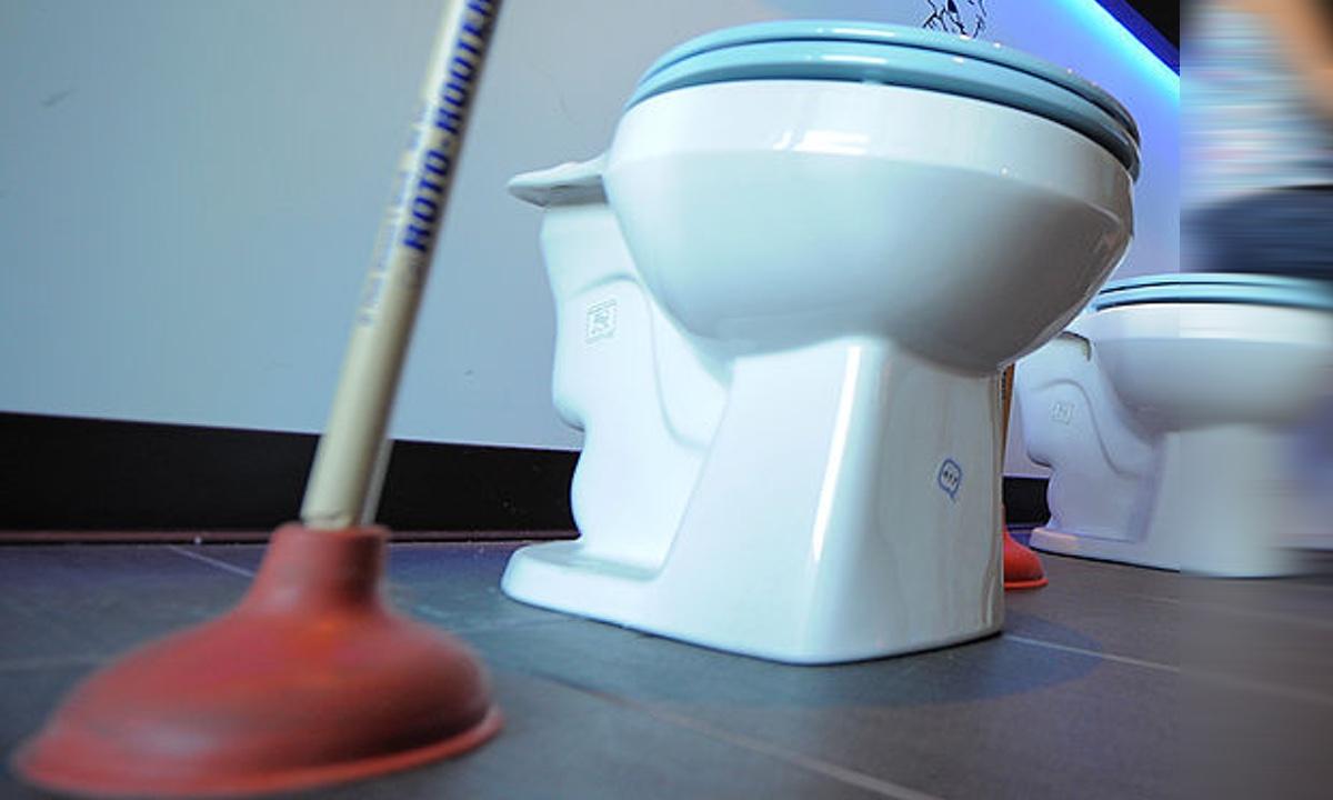 Abandoned Fetus Blocked the Toilet in a South African Domestic Airplane