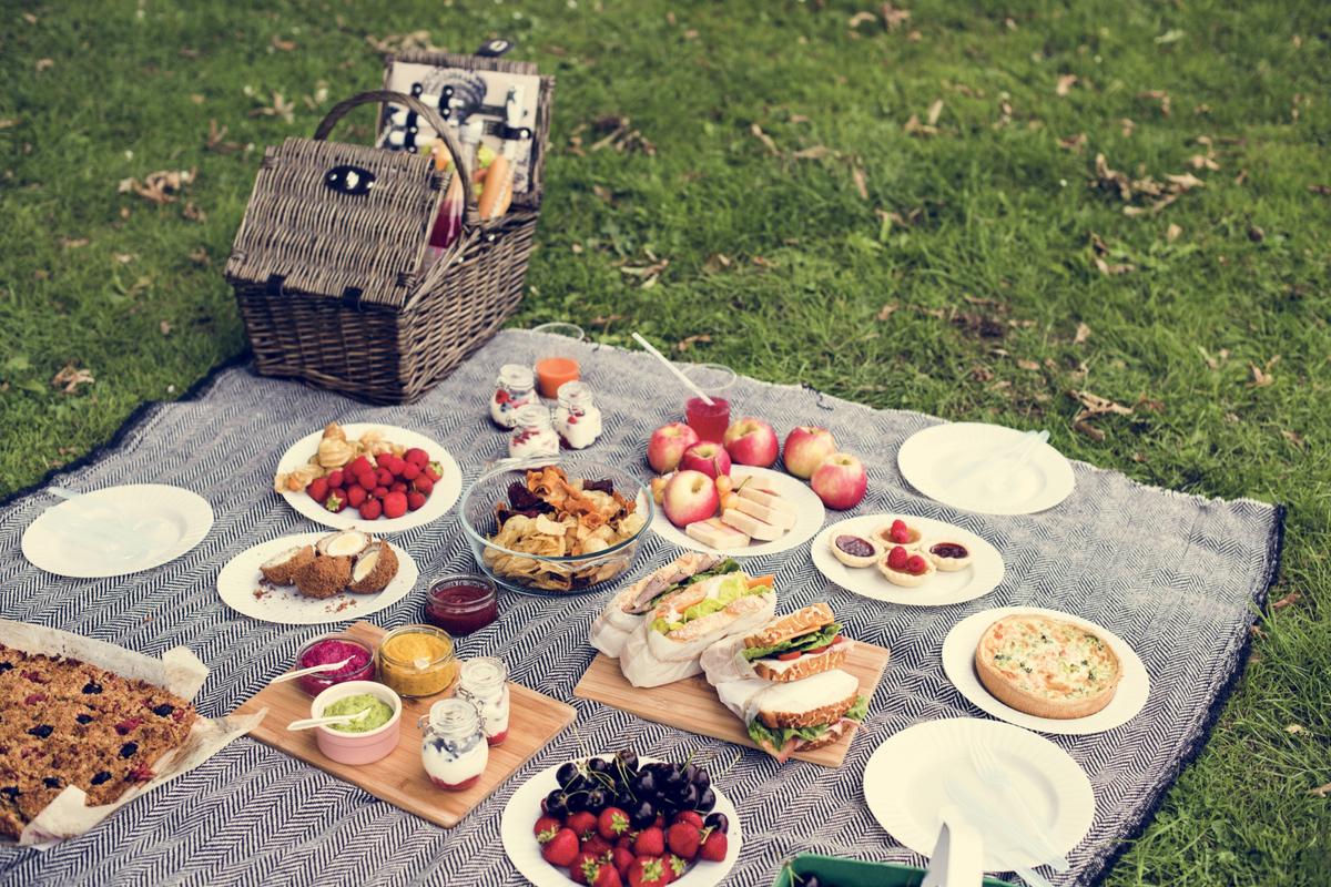 The Allure of the Picnic