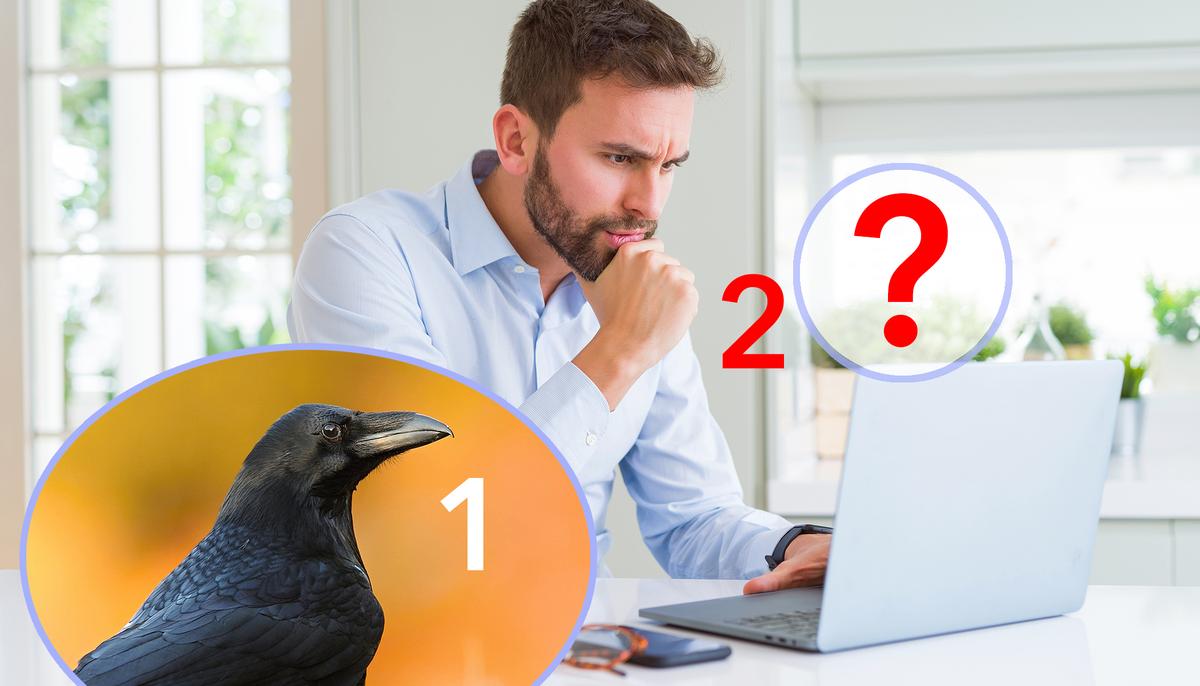 Most People See a Black Crow in This Picture–but Can You See What’s Really There?