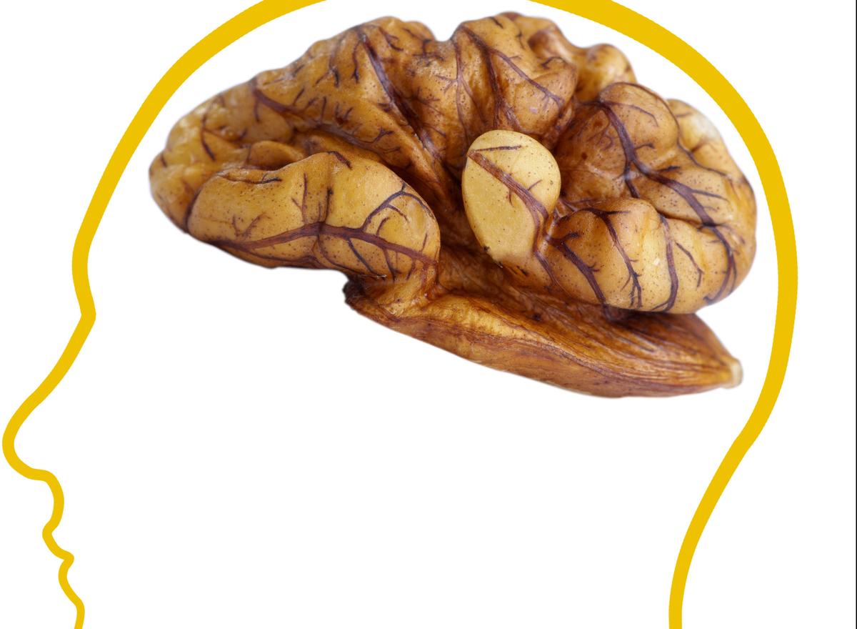 Why Walnut Resembles the Brain It Nourishes