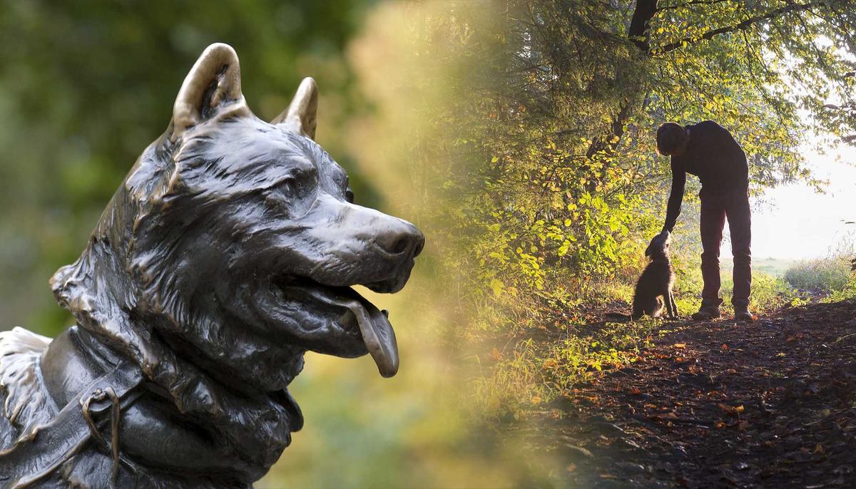 Four-Legged Family Members to Be Allowed to Be Buried Beside Their Human, New Law Decrees