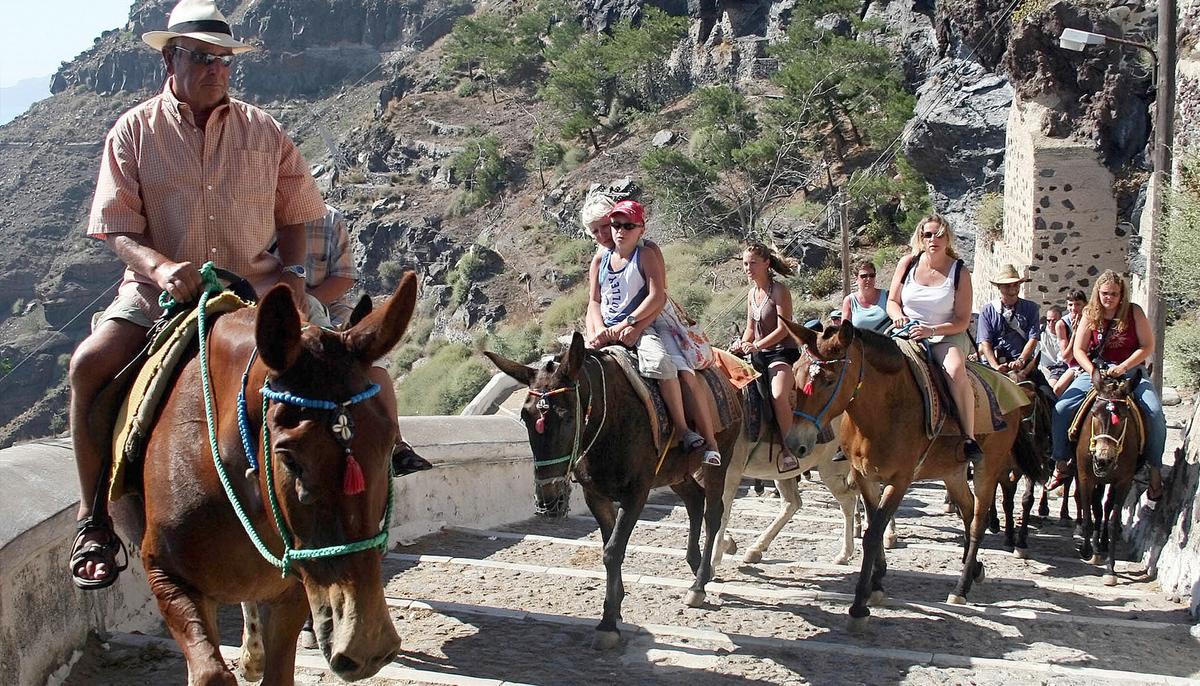 Horrific Video Shows Donkeys Being Beaten and Forced to Carry Overweight Tourists