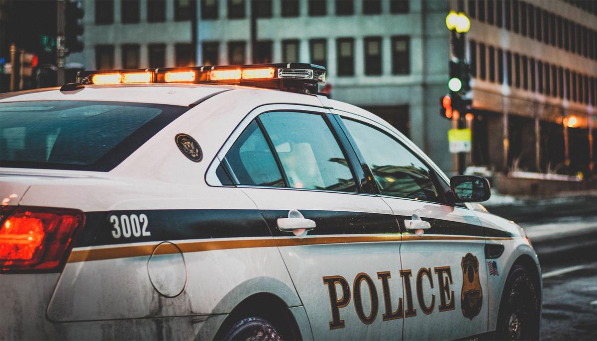 Man Caught on CCTV Abandoning Pups in Sealed Box, Police Need Help Identifying Him