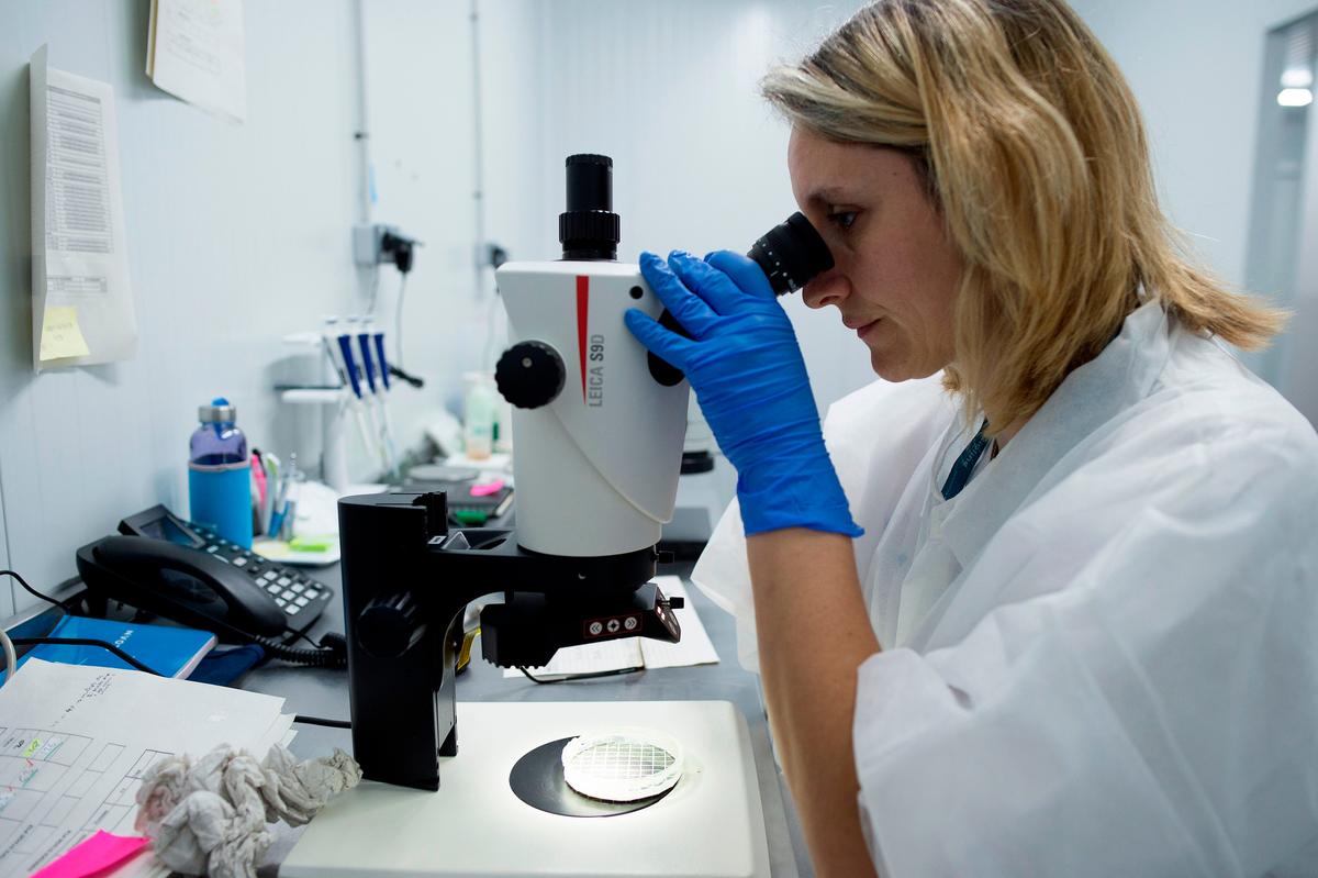 Blood-Sucking ‘Kissing Bug’ Which Has Potentially Deadly Bite Spotted Throughout US