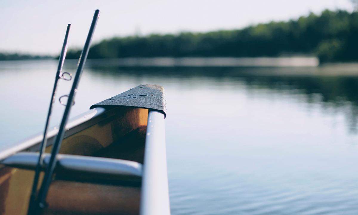 Woman Catches Unusual Fish With 2 Mouths in Upstate New York
