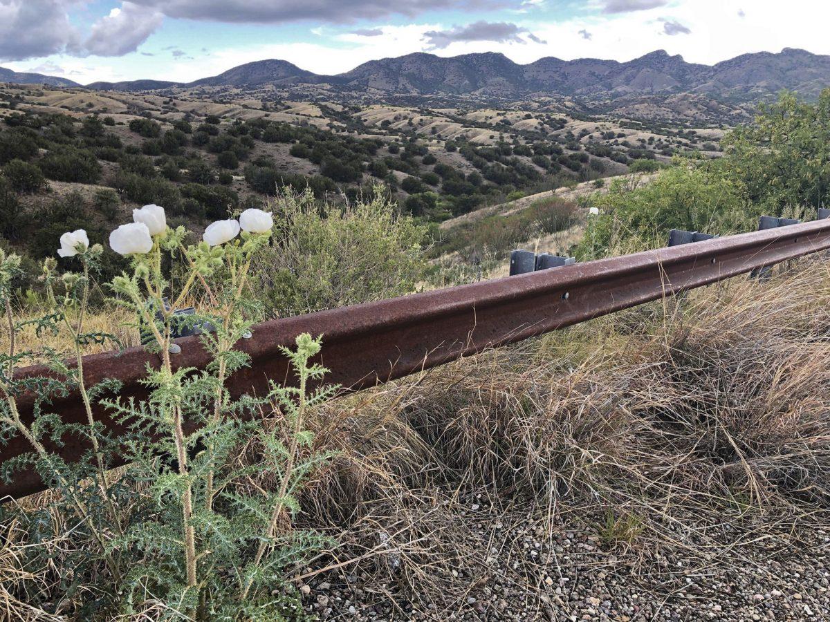 A view of the eastern slope of the Santa Rita Mountains in Arizona on May 12, 2019. Canadian firm Hudbay Minerals Inc. plans an open-pit copper mine in the area. (Anita Snow/AP Photo)