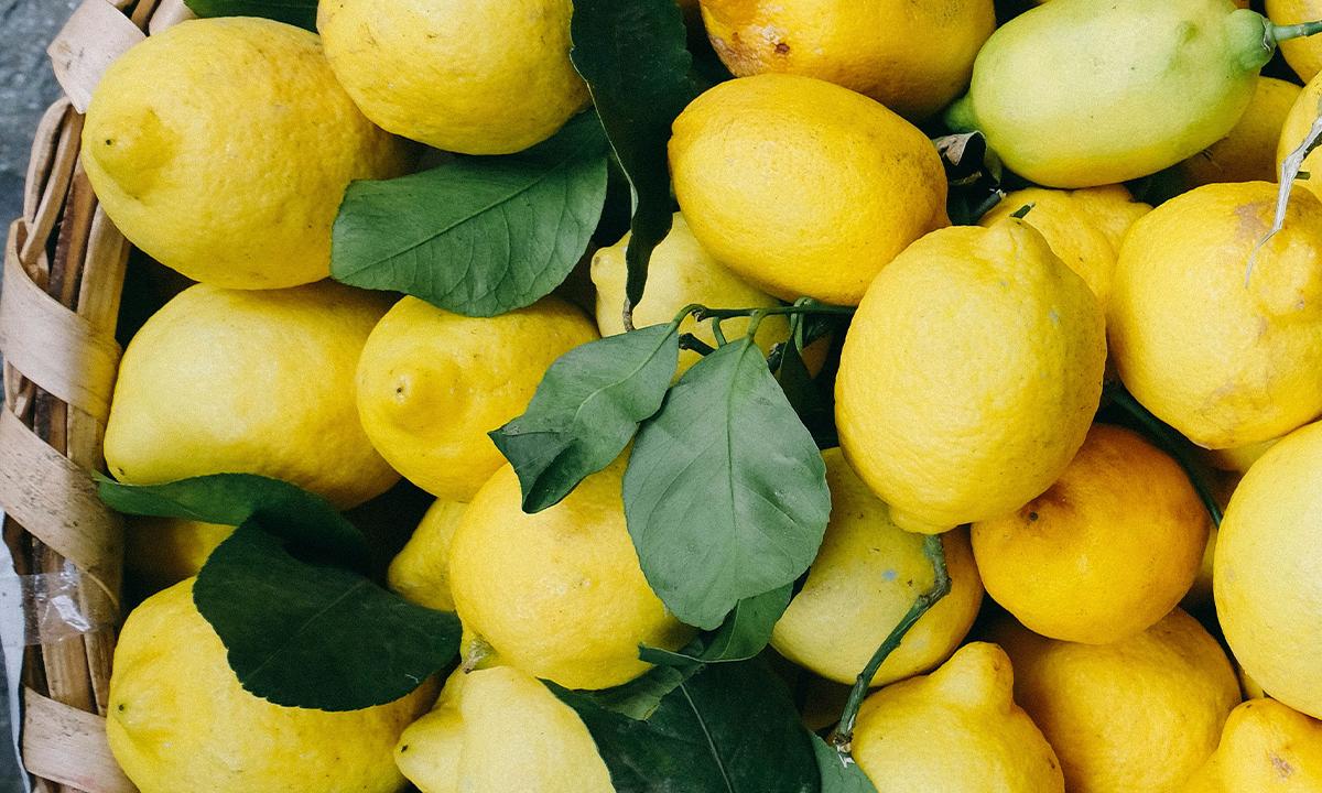 Young Girl’s Lemonade Stand Shut Down by Local Authorities