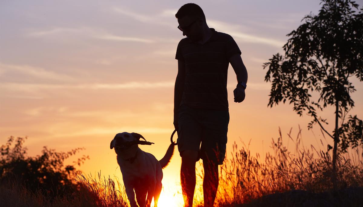 Truck Driver Covers 2,800 Cross-Country Miles to Save Pit Bull From Being Euthanized