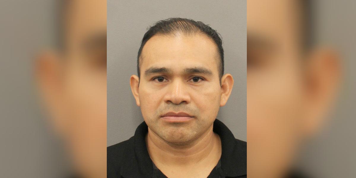 12-Year-Old’s Father Charged With Homicide After Police Said She Drove Into a Man and His Dog