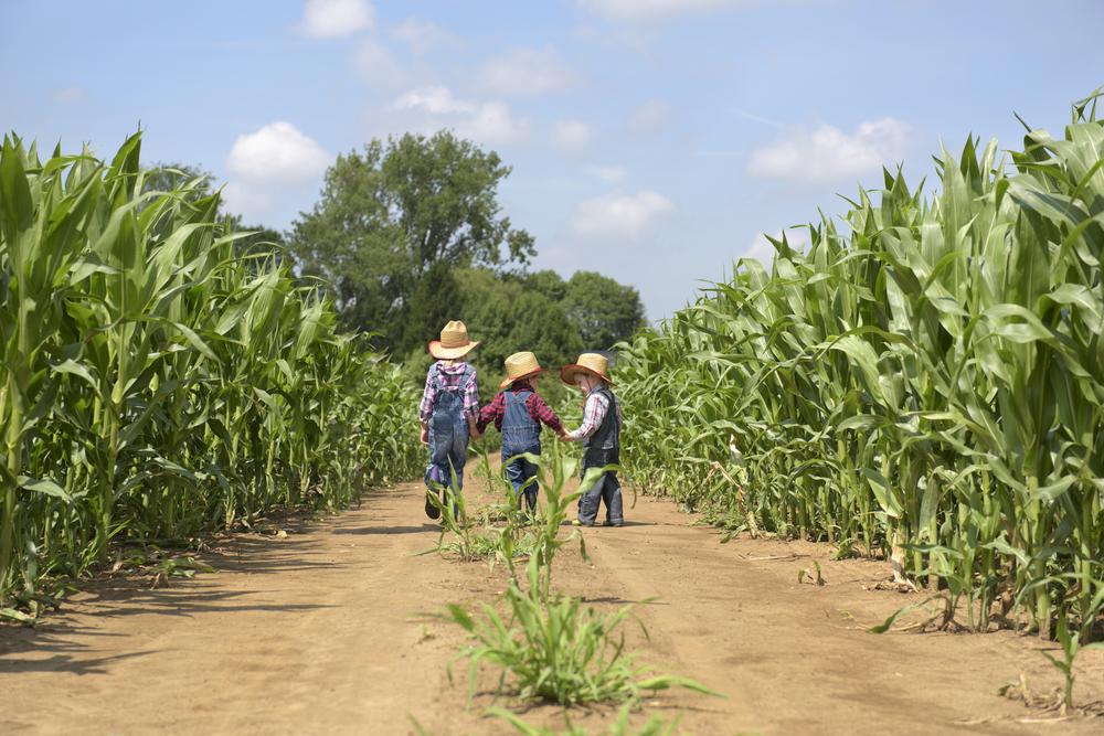 Illustration - Shutterstock | <a href="https://www.shutterstock.com/image-photo/cowboy-siblings-walking-fields-680345797">aldegonde</a>