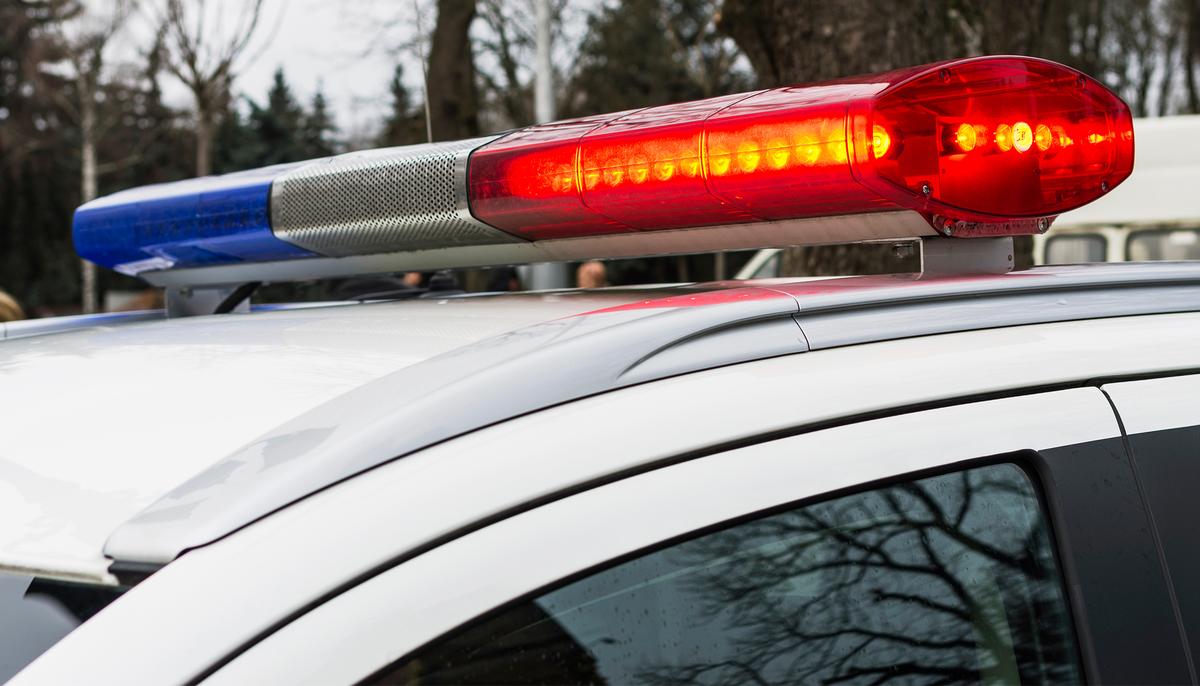 Mama Goose Keeps Pecking Cop’s Patrol Car Only to Lead Him to Her Trapped Baby