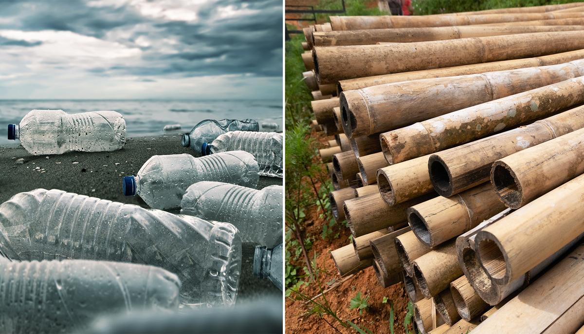 Entrepreneur Invents Plastic Bottle Substitute Made Entirely of Bamboo