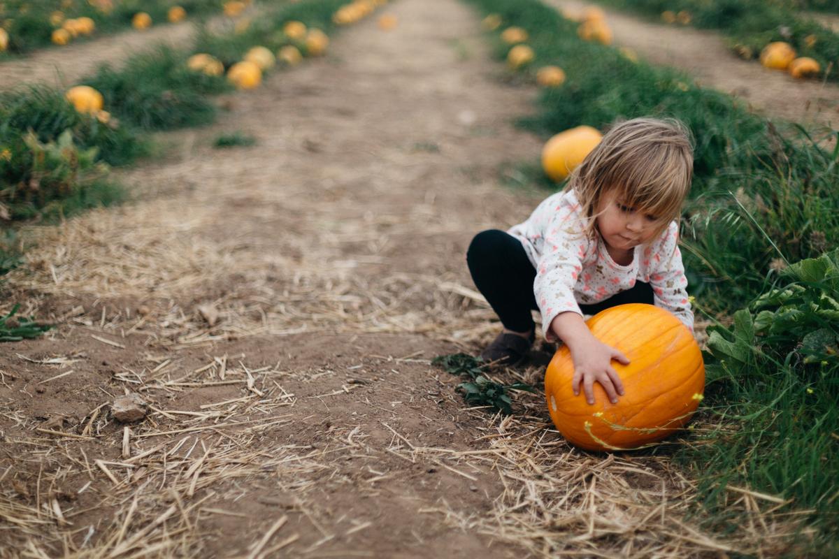 Fall Is for Family: 7 Weekend Ideas for Enjoying the Season