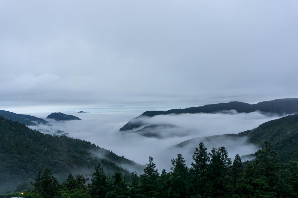 The Enchanted Forests of Taipingshan