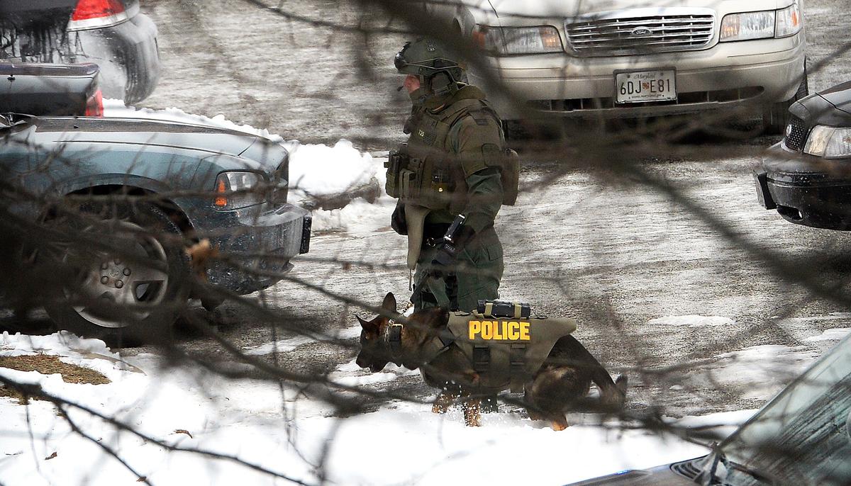 Remembering the Heroism of Beloved K-9 Officer ‘Jethro’ Who Was Shot and Killed