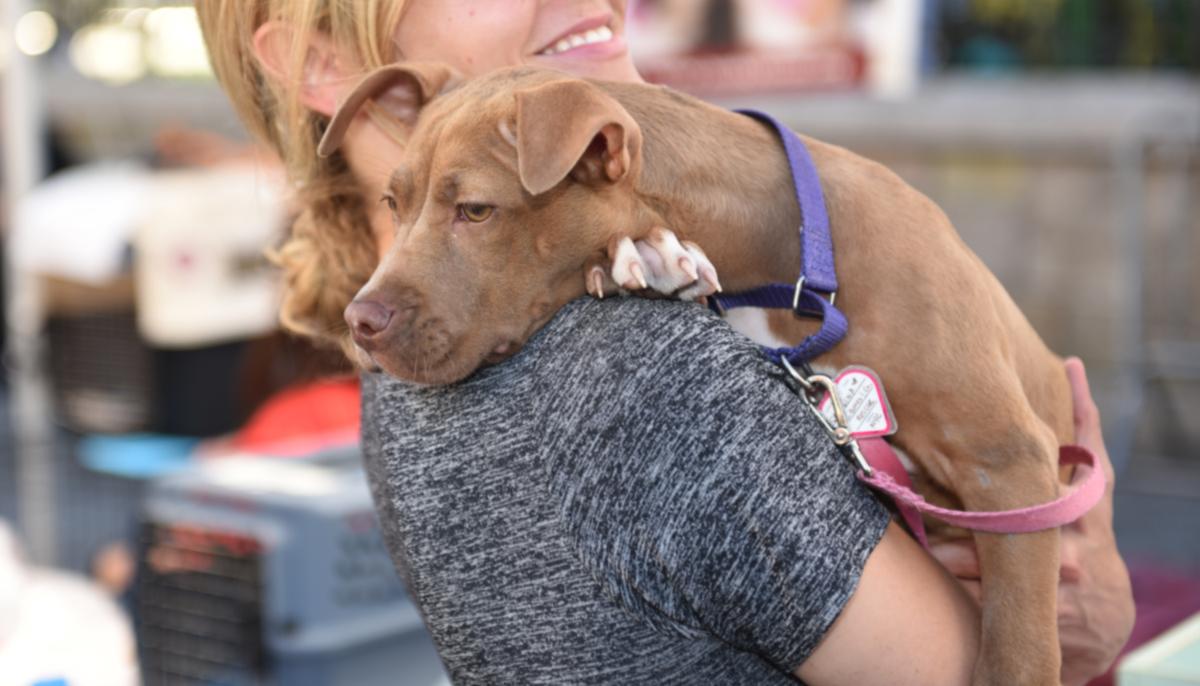 Sick Shelter Dog Was About to Be Euthanized–Now He Just Wants to Thank His New Human Mom
