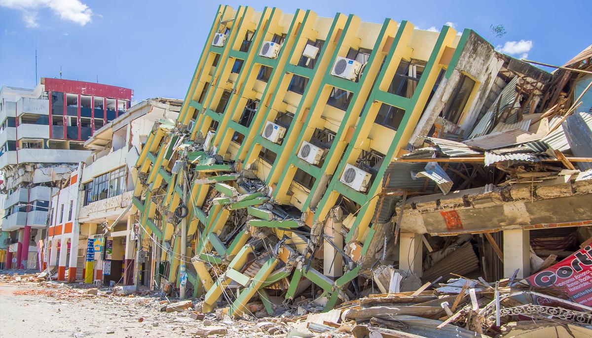 Remembering the Hero Dog That Died After Rescuing 7 People From Earthquake Rubble